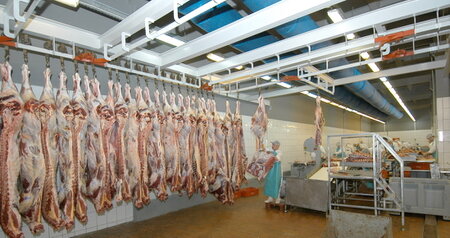 Дезинсекция на мясокомбинате в Климовске, цены на услуги